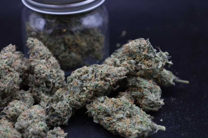 Instagram Garlic Mint Sherbet Auto