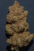 Instagram Gelato Auto