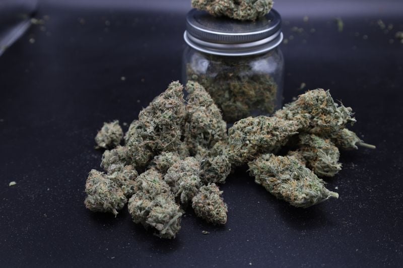 Instagram Garlic Mint Sherbet Auto