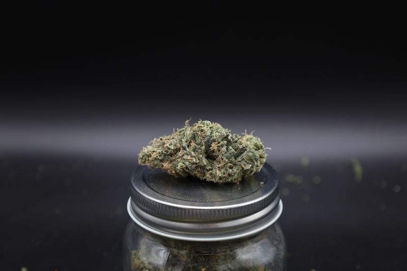 Instagram Garlic Mint Sherbet Auto