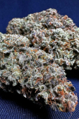 Instagram Strawberry Gorilla Auto