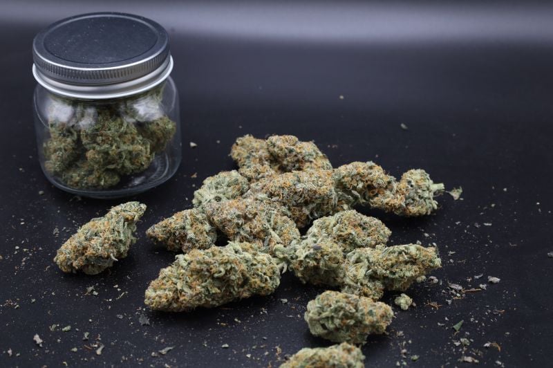 Instagram Guava Sundae Auto