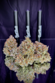 Instagram Strawberry Gorilla Auto