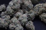Instagram Garlic Mint Sherbet Auto™