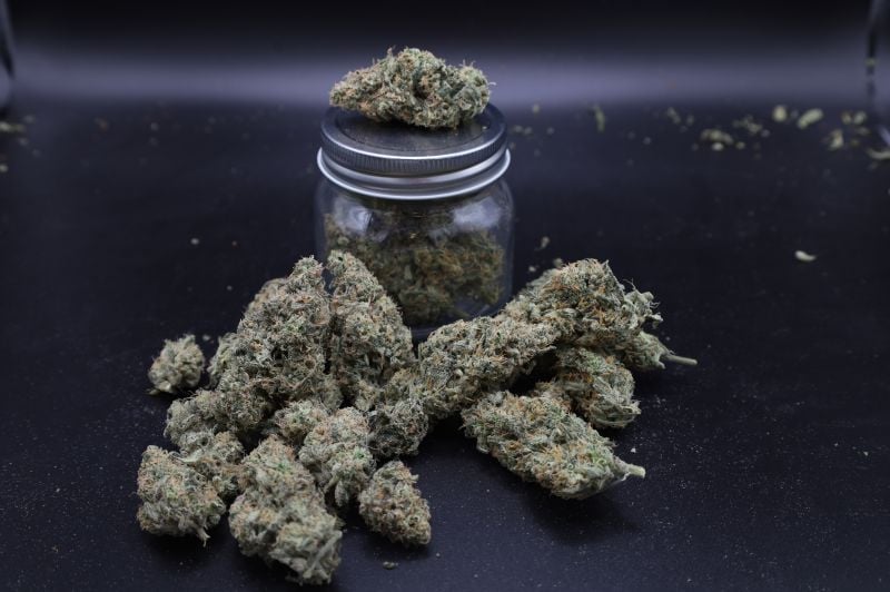 Instagram Garlic Mint Sherbet Auto