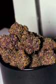 Instagram Purple Haze Auto™
