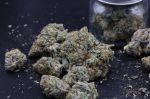 Instagram Mendo Guava Auto™