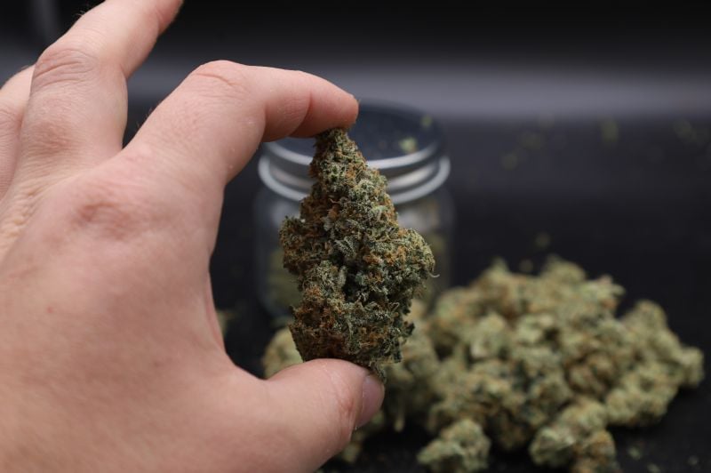 Instagram GMO Auto
