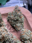 Instagram Cherry Cola Auto