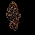Instagram Gorilla Melon™