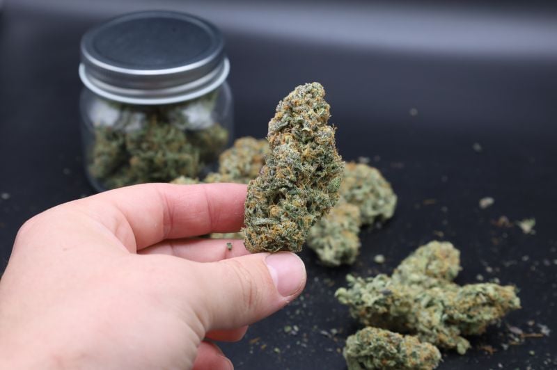 Instagram Guava Sundae Auto