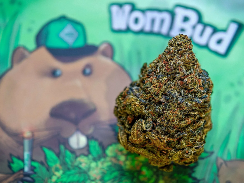 Instagram Papaya Sherbet