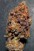Instagram GG4 Sherbet FF