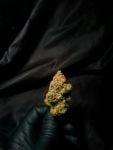 Instagram Mendo Frost Auto™
