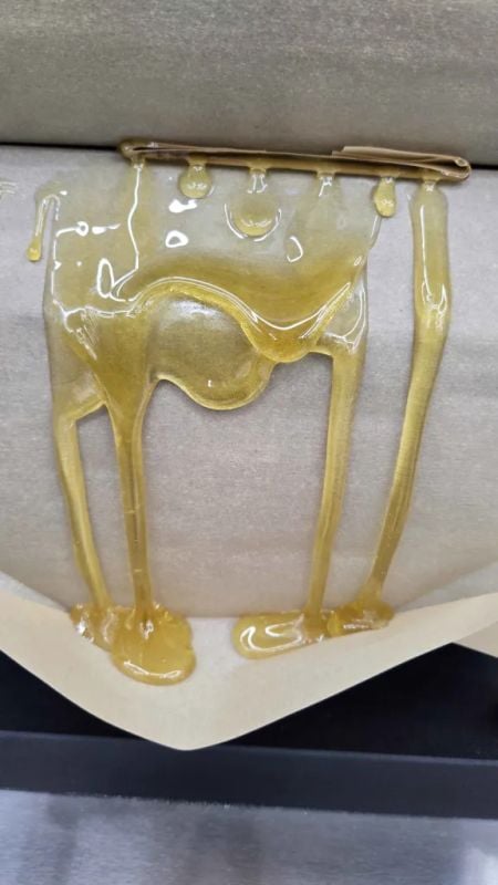 Instagram Mendo Frost Auto
