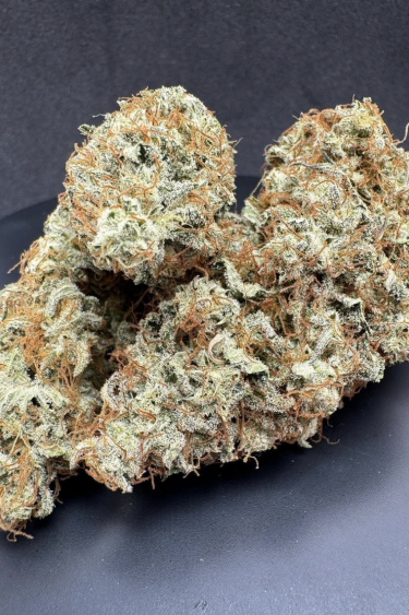 Instagram Kosher Cake Auto