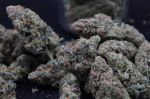 Instagram Pineapple OG Auto™