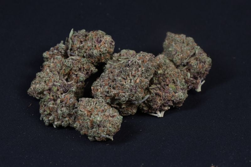 Instagram Mix Pack Auto RF3