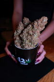 Instagram Cherry Cola Auto