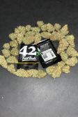 Instagram Gorilla Z Auto