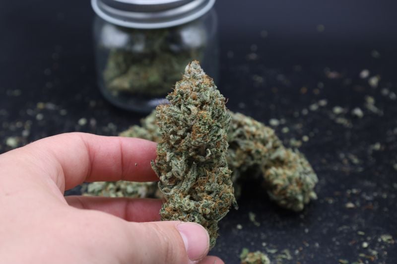 Instagram Mendo Frost Auto