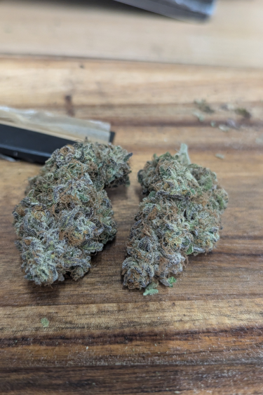 Instagram Rainbow Melon