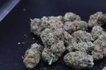 Instagram Sundae Frost Auto™
