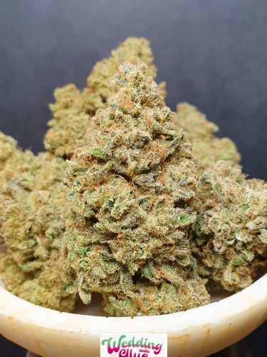 Instagram Wedding Glue Auto