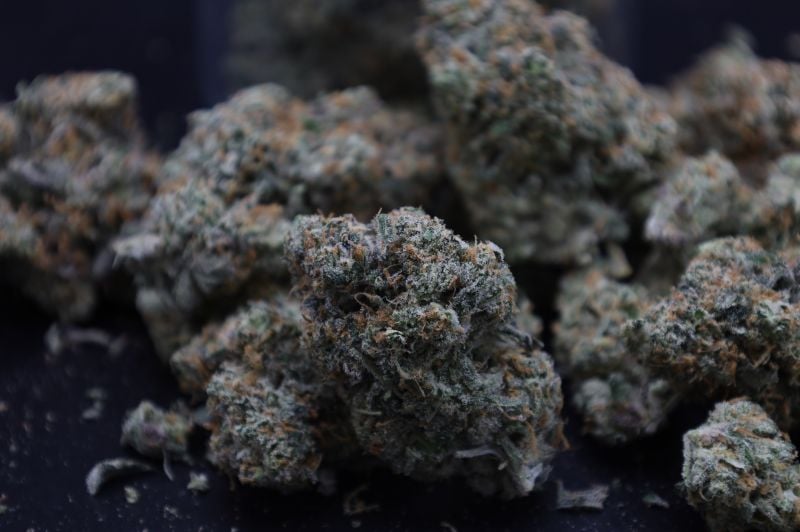 Instagram GMO Auto