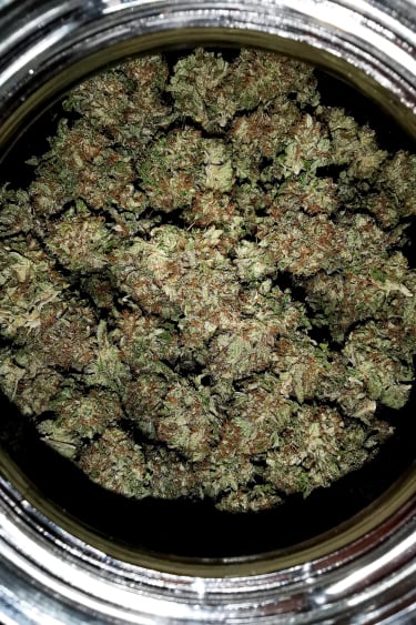 Instagram GG4 Sherbet FF