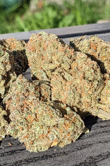 Instagram Wedding Glue Auto