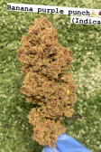 Instagram Banana Purple Punch Auto
