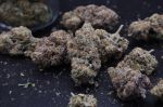 Instagram Lemon Cherry Sundae Auto™