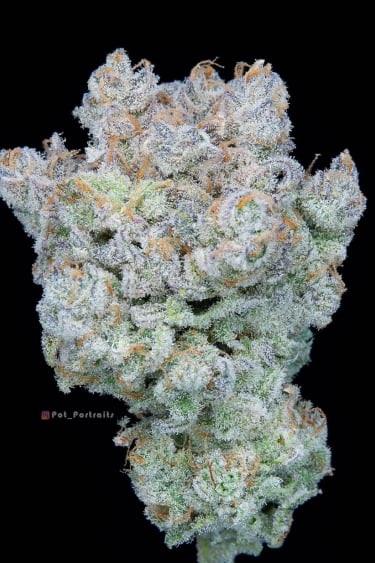 Instagram Strawberry Banana Auto