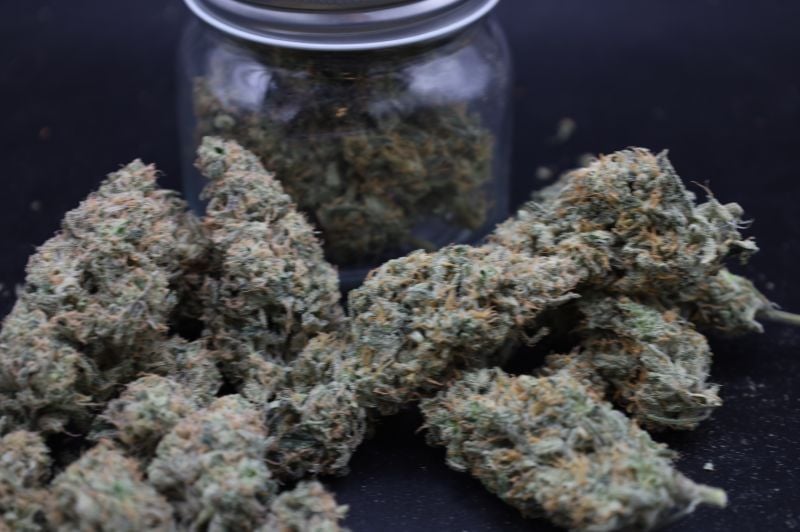 Instagram Garlic Mint Sherbet Auto
