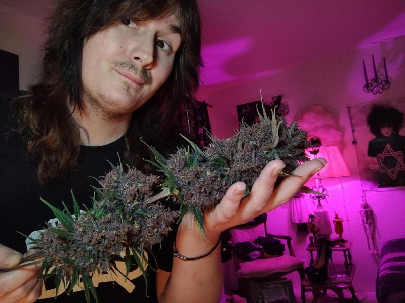 Instagram Lemon Cherry Cookies Auto