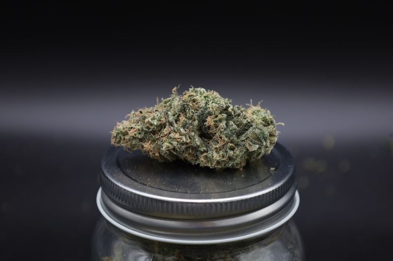Instagram Garlic Mint Sherbet Auto