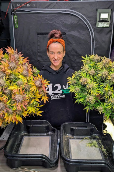 Instagram Tropicana Cookies FF