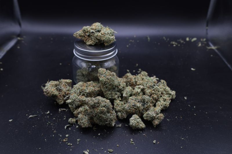 Instagram GMO Auto