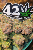Instagram Pound Cake Auto™