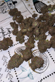 Instagram Cherry Cola Auto