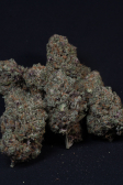 Instagram Cherry Cola Auto RF3™