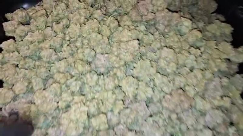 Cherry Cola Auto @gitty1625 DIS 1