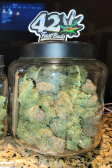 Instagram Pound Cake Auto™