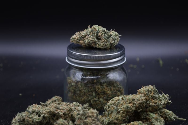 Instagram Garlic Mint Sherbet Auto