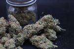 Instagram Garlic Mint Sherbet Auto™