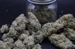 Instagram Garlic Mint Sherbet Auto™