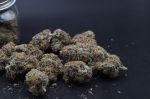 Instagram Mango Cherry Runtz Auto™