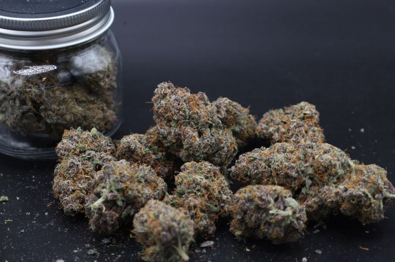 Instagram Mango Cherry Runtz Auto