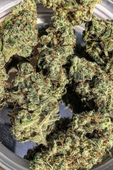 Instagram Bruce Banner Auto